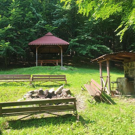 Apartament Widokowy Z Tarasem Bukowa Wisla Luaran gambar