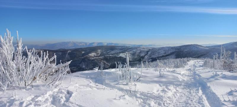 Apartament Widokowy Z Tarasem Bukowa Wisla Luaran gambar